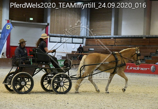 PferdWels2020 TEAMmyrtill 24.09.2020 016