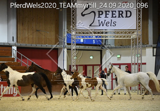 PferdWels2020 TEAMmyrtill 24.09.2020 096