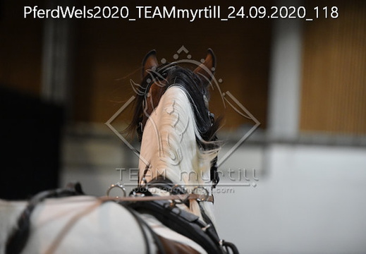 PferdWels2020 TEAMmyrtill 24.09.2020 118