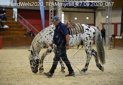 200924-27 pferd wels show