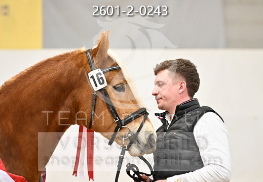 01.30 Stadl-Paura Haflinger Körung