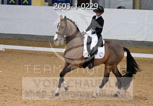 02.06-08 Stadl-Paura CDN-A*