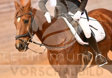 02.06-08 Stadl-Paura CDN-A*