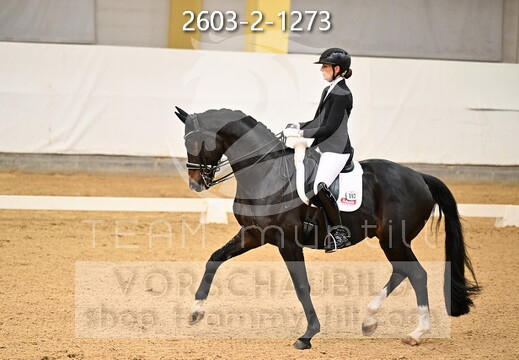 02.06-08 Stadl-Paura CDN-A*