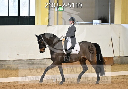 02.06-08 Stadl-Paura CDN-A*