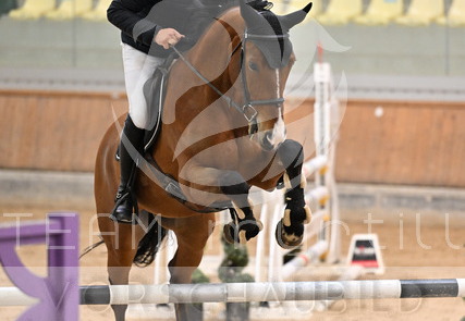 02.13-15 Stadl-Paura CSN-B*