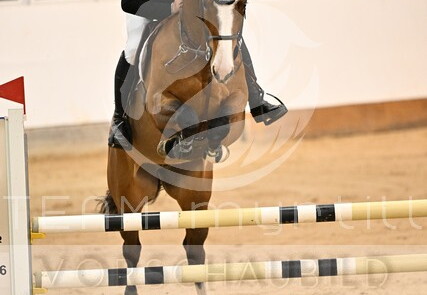 03.13-15 Stadl-Paura CSN-B*