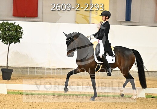 04.02-05 Stadl-Paura CDI****