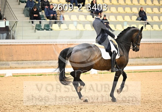 04.02-05 Stadl-Paura CDI****