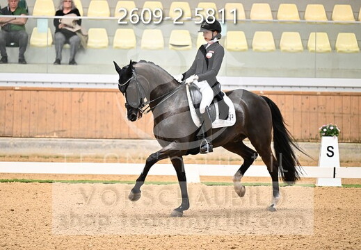 04.02-05 Stadl-Paura CDI****