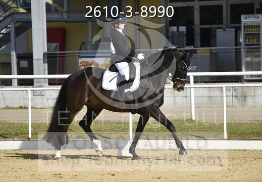 04.03-05 Stadl-Paura CDN-A*