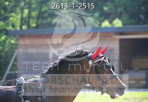 05.08-10 Stadl-Paura CAN-A