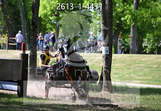 05.08-10 Stadl-Paura CAN-A