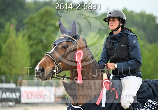 05.14-17 Pferd Wels CSN-A*