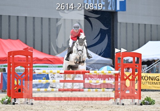 05.14-17 Pferd Wels CSN-A*