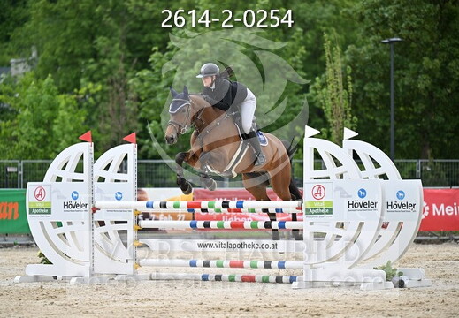 05.14-17 Pferd Wels CSN-A*