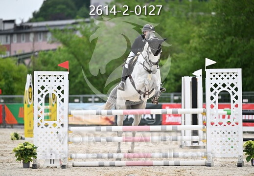 05.14-17 Pferd Wels CSN-A*