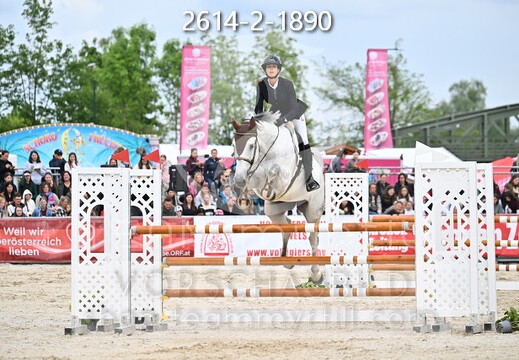 05.14-17 Pferd Wels CSN-A*