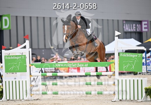 05.14-17 Pferd Wels CSN-A*