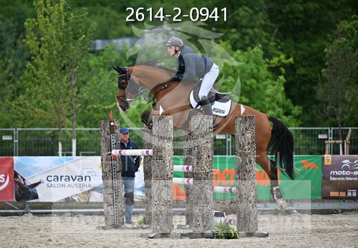 05.14-17 Pferd Wels CSN-A*