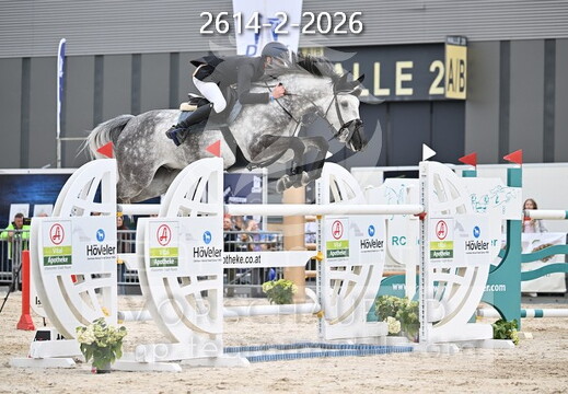 05.14-17 Pferd Wels CSN-A*