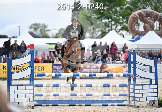 05.14-17 Pferd Wels CSN-A*