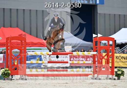 05.14-17 Pferd Wels CSN-A*
