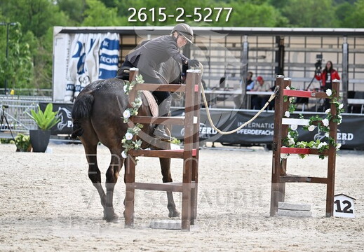 05.15-17 Pferd Wels CWEN-C