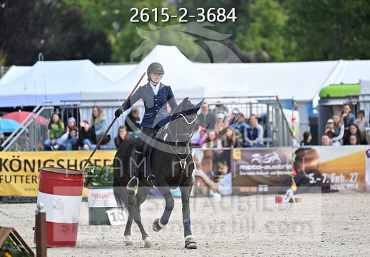 05.15-17 Pferd Wels CWEN-C