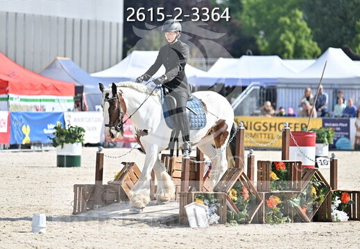 05.15-17 Pferd Wels CWEN-C