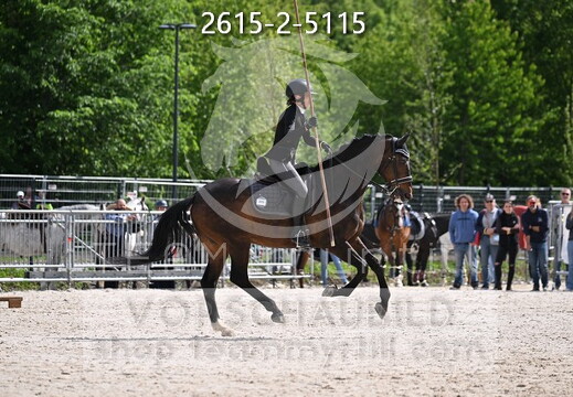 05.15-17 Pferd Wels CWEN-C