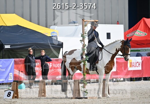 05.15-17 Pferd Wels CWEN-C