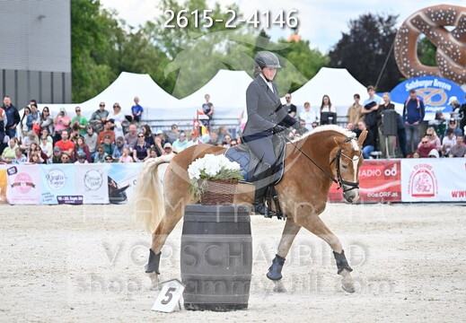 05.15-17 Pferd Wels CWEN-C