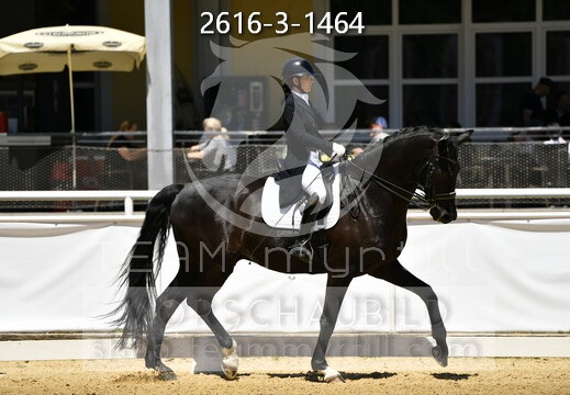 05.29-31 Stadl-Paura CDN-A*