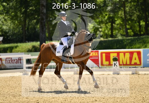 05.29-31 Stadl-Paura CDN-A*
