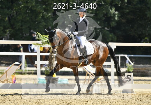 06.26-28 Stadl-Paura CDN-A*