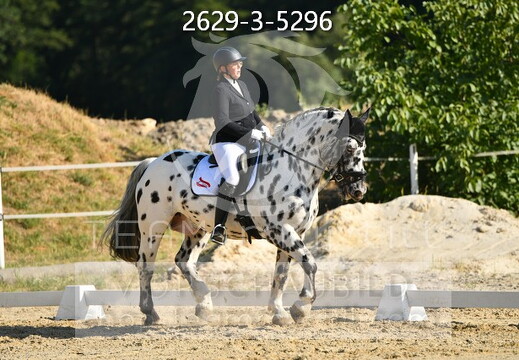 08.08-09 Ried am Riederberg CDN-A*