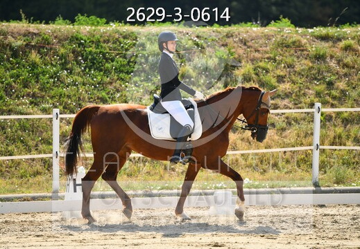 08.08-09 Ried am Riederberg CDN-A*