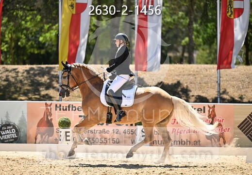 08.12 Stadl-Paura CDN-C