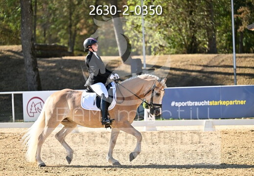 08.12 Stadl-Paura CDN-C