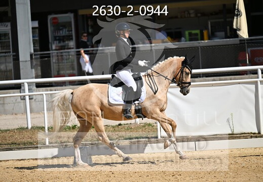 08.12 Stadl-Paura CDN-C