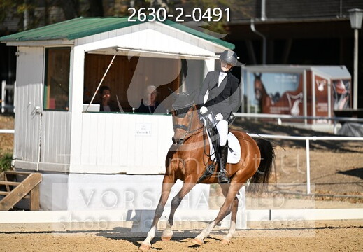 08.12 Stadl-Paura CDN-C