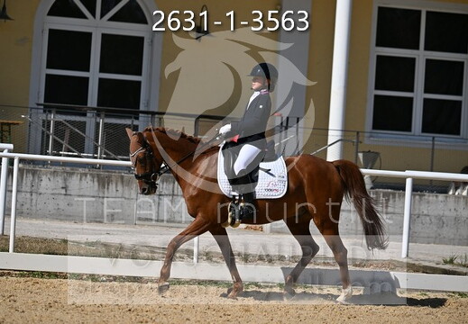 08.14-16 Stadl-Paura CDN-A*