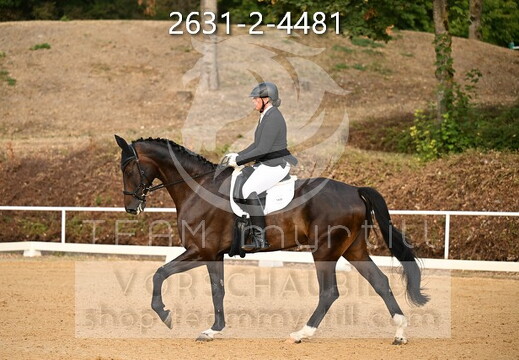 08.14-16 Stadl-Paura CDN-A*
