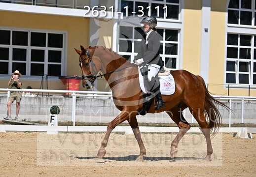 08.14-16 Stadl-Paura CDN-A*