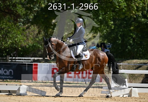 08.14-16 Stadl-Paura CDN-A*