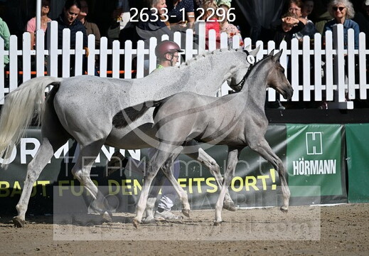 09.02-06 Gut Ising CSI**