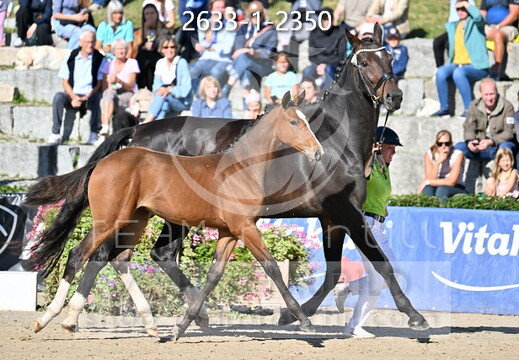 09.02-06 Gut Ising CSI**
