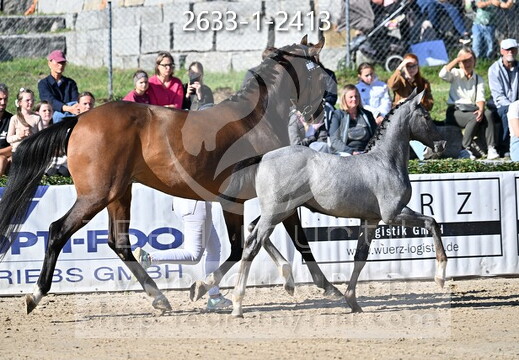 09.02-06 Gut Ising CSI**