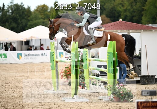 09.02-06 Gut Ising CSI**